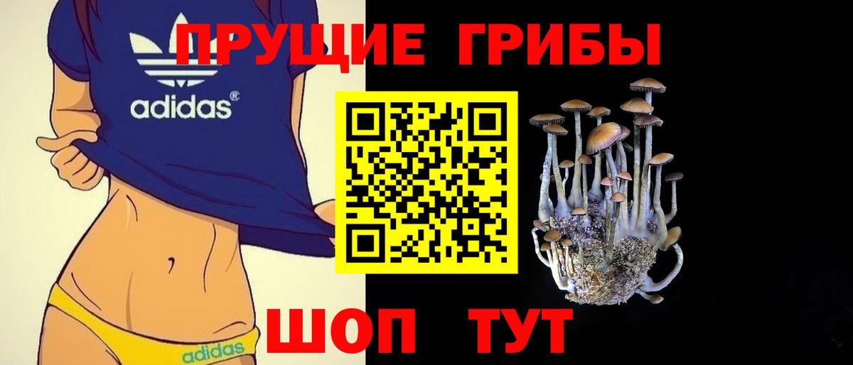 Острогожск  Галлюциногенные грибы Cubensis  Вход с VPN  Галлюциногенные грибы GOLDEN TEACHER 